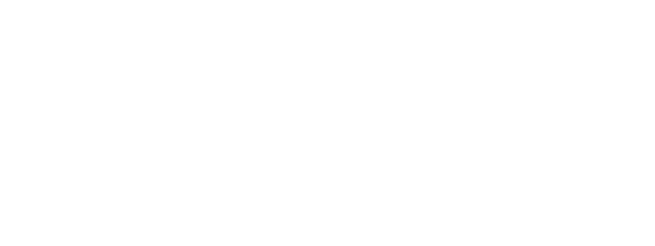 OMG Omnicom Media Group