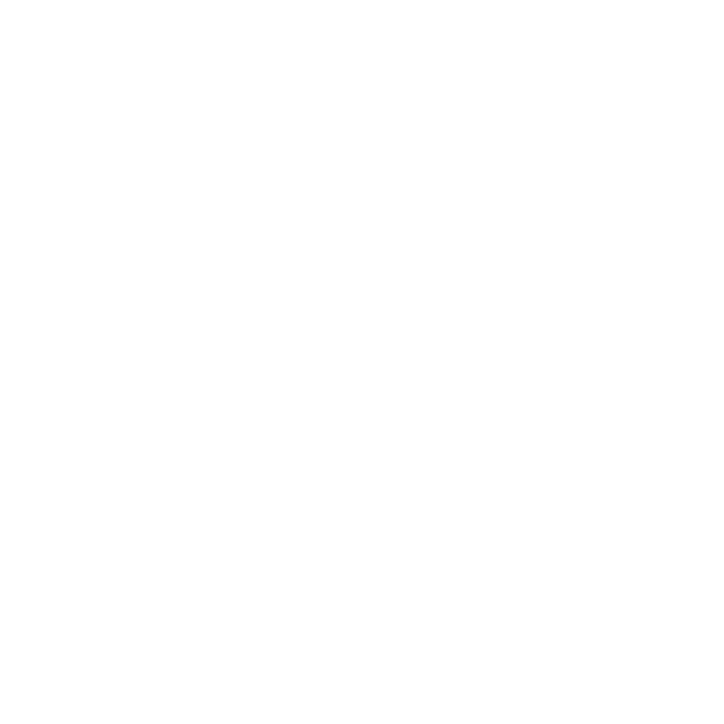 Publicis Groupe
